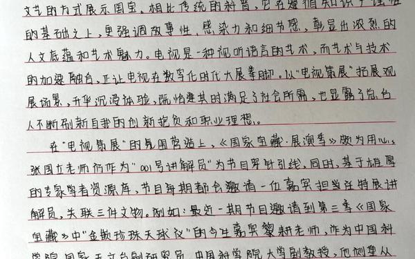 国家之安人民至上观后感;专题片国家监察观后感
