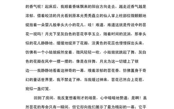 别样的精彩作文600字、别样的精彩作文范文