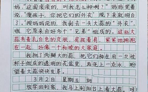 写一篇观察日记四年级-写作业磨蹭的日记100字