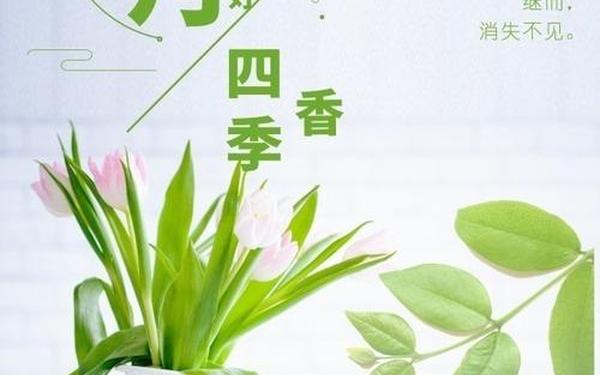 8月你好的句子、八月你好的说说 心情短语