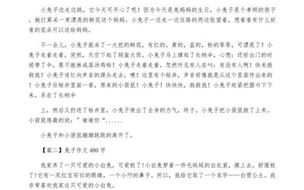 兔子的作文 兔子的作文400字