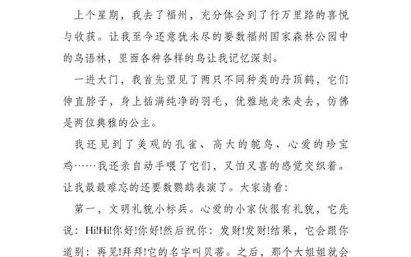 寒假见闻作文600字-寒假见闻三年级300字
