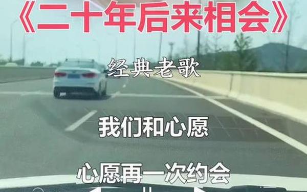 二十年后在相会(再过二十年,我们来相会)
