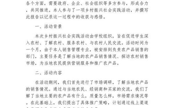 农村社会实践报告3000字,农村实践报告范文