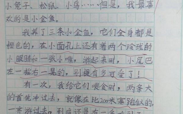 我最喜欢的小动物作文;写一种自己喜欢的小动物二年级