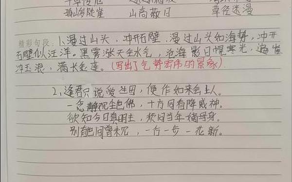 免费读书笔记100篇-读书笔记100左右