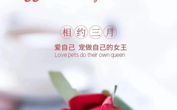 女生节活动,女生节活动主题八个字