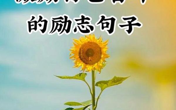 激励上进正能量句子(鼓励人进取的话)