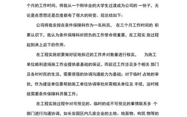 个人技术工作总结 个人工作总结(个人通用)