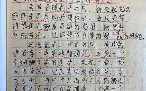 三年级写植物作文桃花—三年级下册我的植物朋友作文300字