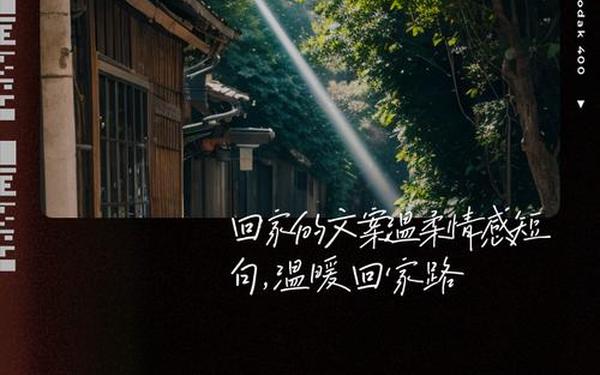 回家的感觉(回家的路感悟句子)