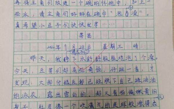 成长日记怎么写(成长记录50字免费可抄)