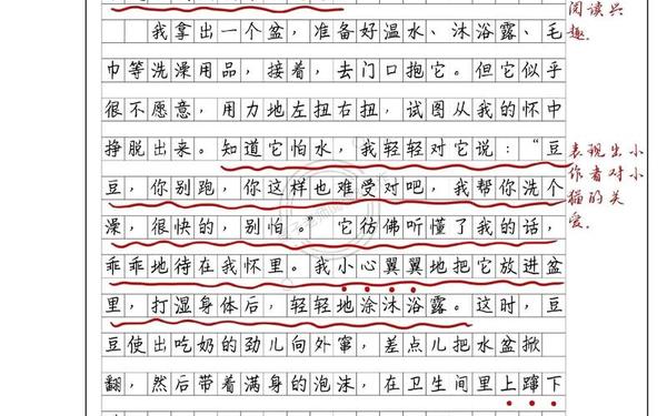 小学生满分作文30篇 9999999999万亿字作文