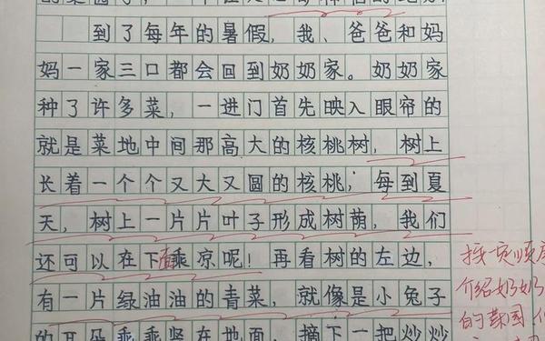 四年级下册第一单元作文400字、第4单元作文怎么写