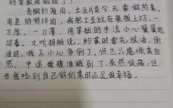 写一篇字100的日记-100字日记100篇