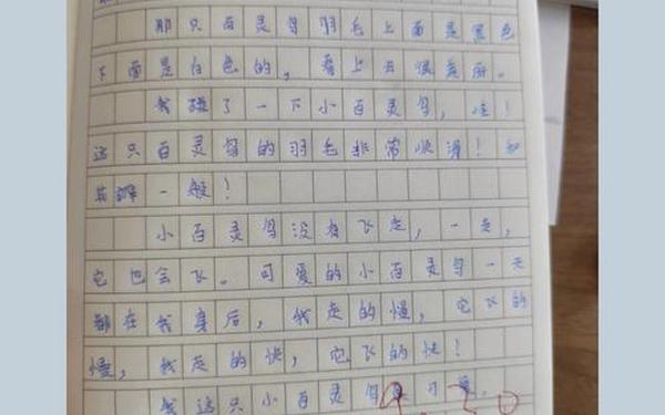 三年级上册日记50字-3年级50字日记