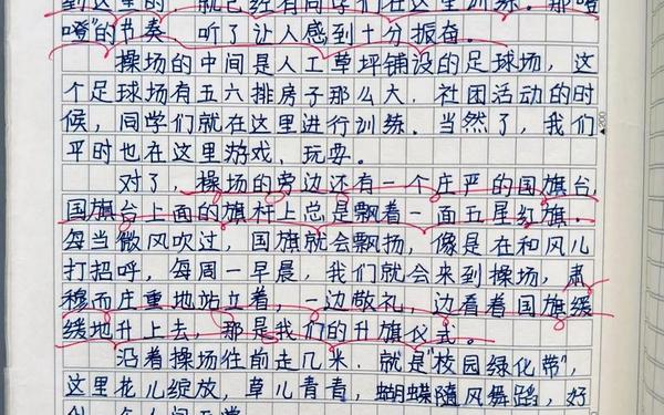 四年级上册第一单元的作文怎么写,四年级上册作文400字