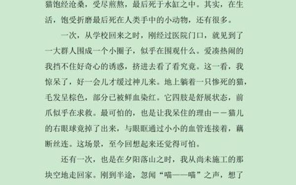 我是猫读后感 我是猫讽刺了什么