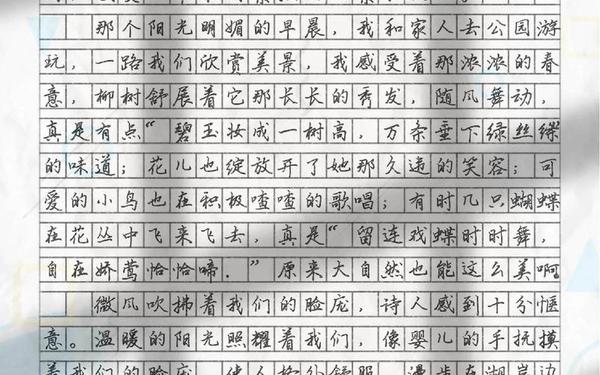 五一见闻400字(元旦作文400字)