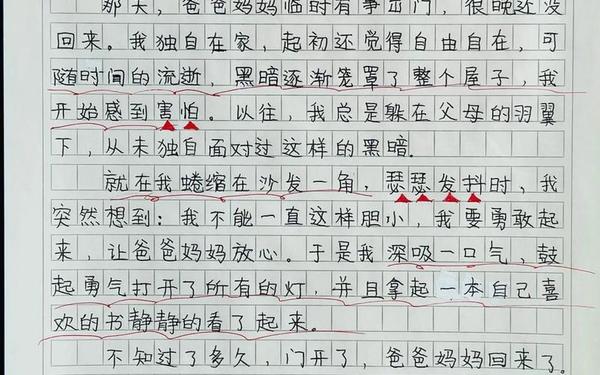 成长作文600字记叙文—作文《那一刻,我长大了》