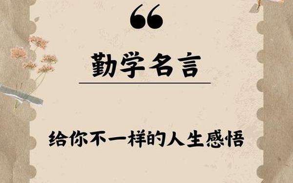 关于学习的名言(激励学生金句)