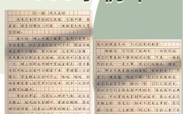 外面的世界作文 外面的世界的作文600字初中
