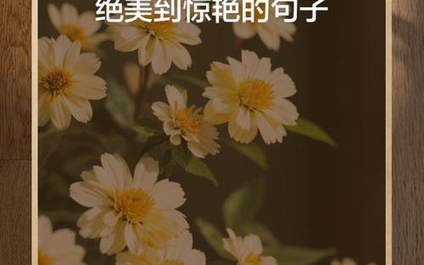 100句顶级绝美短句,独一无二的金句摘抄