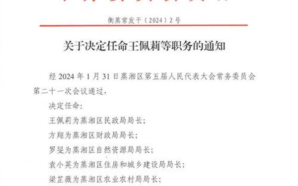 人事任命通知 公司人事任命文件