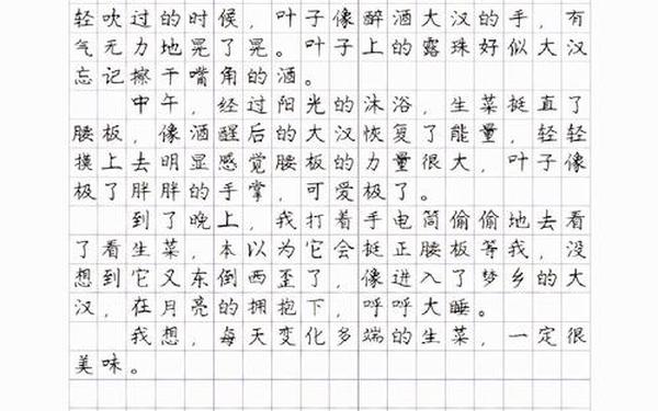 抄一篇好作文300字(作文摘抄300字左右)