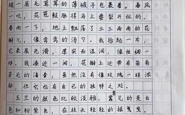 简单50字日记大全 蝴蝶兰日记50字