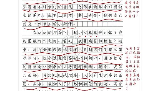我学会了什么(把自己活成一道光作文)