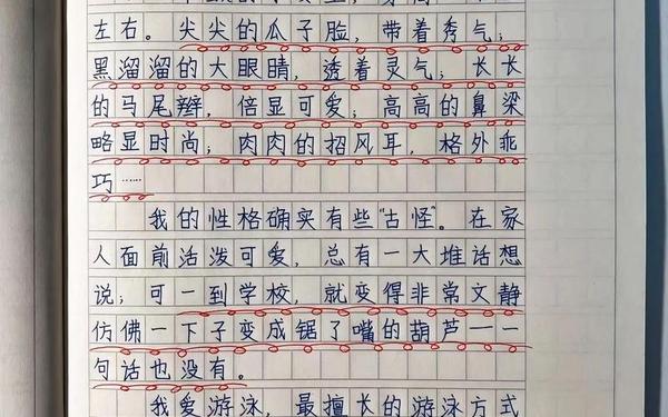 四年级下册第七单元作文我的自画像、我的自画像作文四年级400字