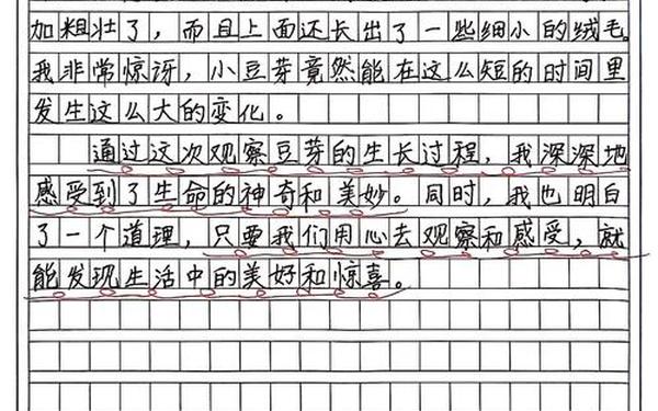 四年级观察作文—小天使四年级小学生