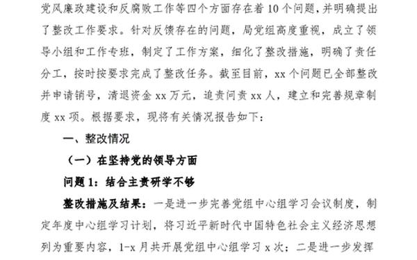 稽查工作总结(工作稽查整改报告)