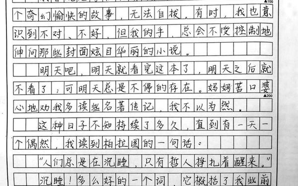 优秀中考满分作文600字、中考满分作文《醒来》