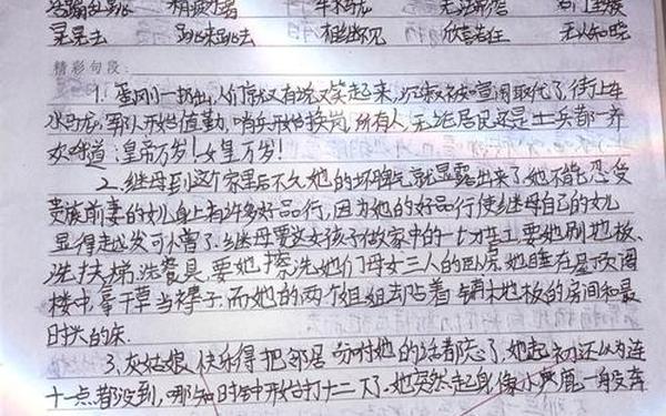 小学生读书笔记摘抄大全—白夜行读书笔记好词好句及感悟图片
