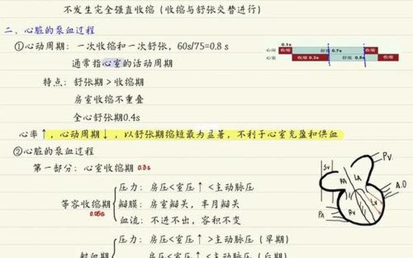 八年级生物教学工作总结-八年级生物心脏与血液循环