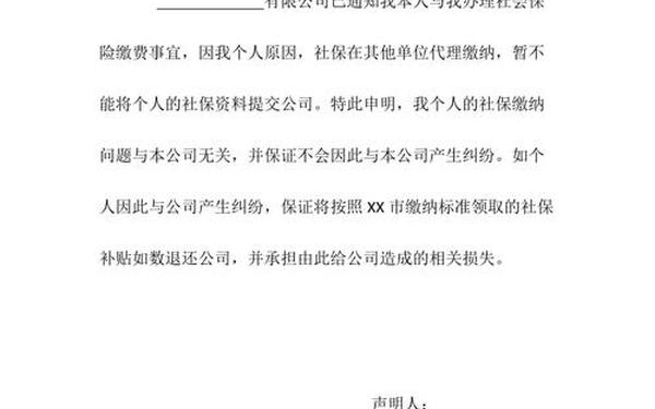声明书格式_个人写声明的格式？