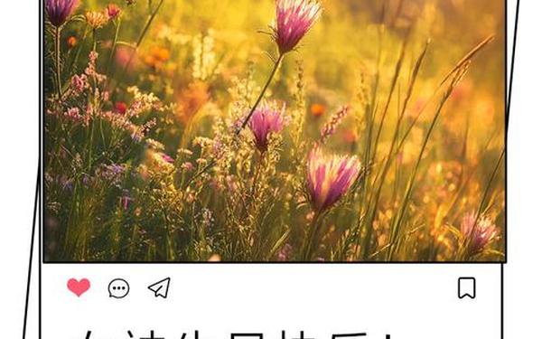 女神生日快乐经典短句_女人生日高情商短句