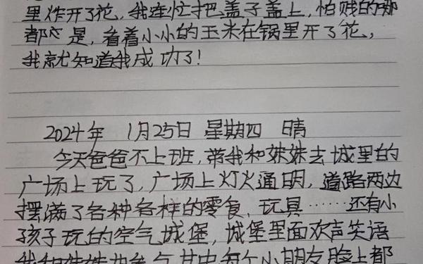 二年级优秀日记60字—二年级日记50字
