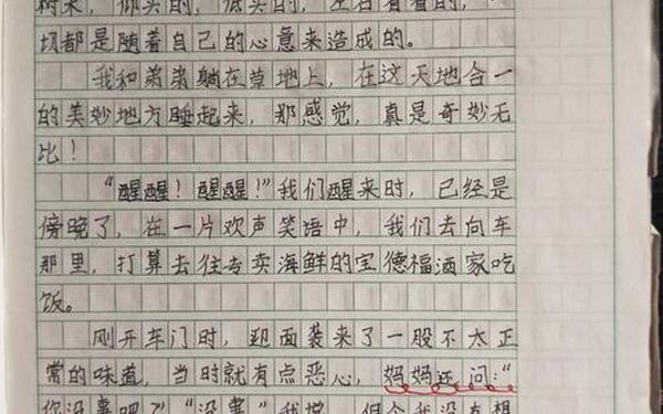 关于关爱作文 写一篇关于关爱的作文