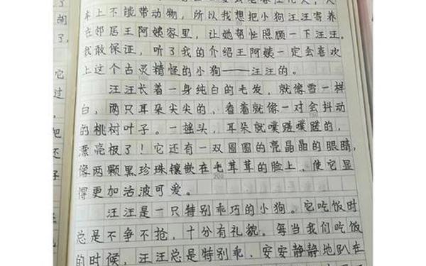 我家的小狗作文 写一片关于动物的作文