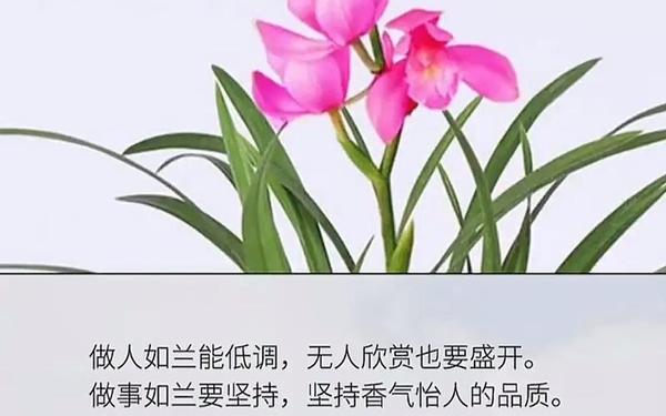 看淡一切善待自己—人生感悟一段很现实的话伤感句子图片