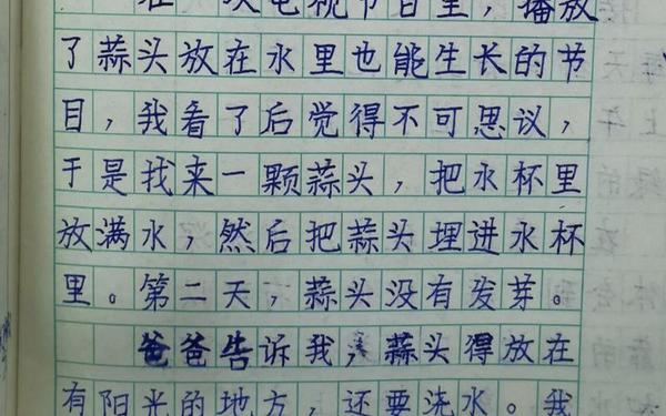 小学三年级日记大全_日记50字可抄