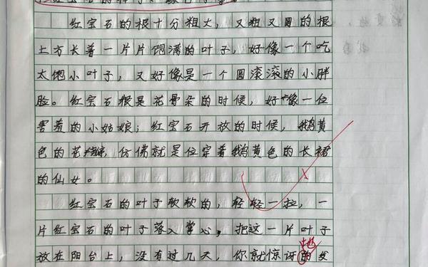 好看多肉的短文_污短文 多肉