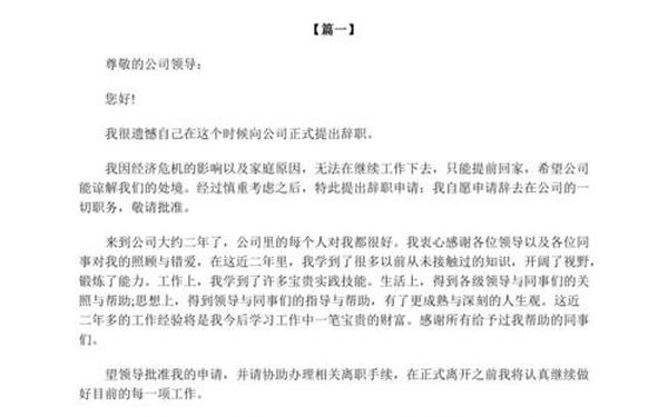 员工辞职申请书模板(自愿离职申请书)