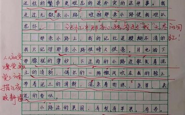 最难忘的一件事作文300字-一年级作文范文100篇