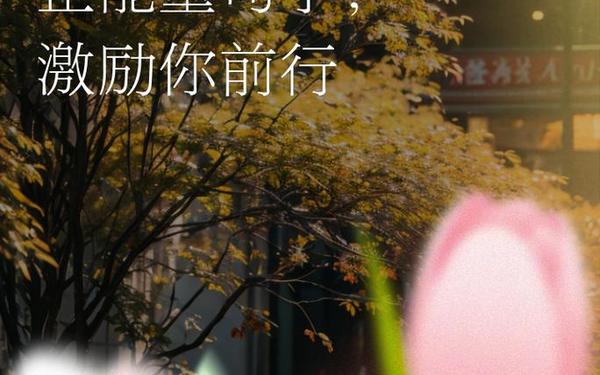 工作每日分享正能量一段话(每日一句正能量励志语录)