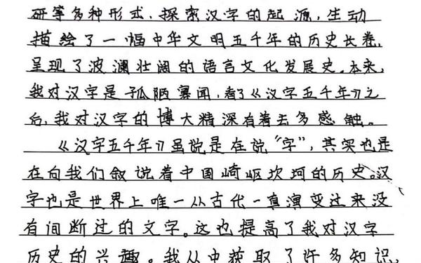 中国汉字听写大会观后感_广西卫视汉字听写大赛
