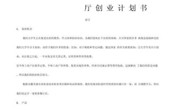 项目计划书 投资计划书